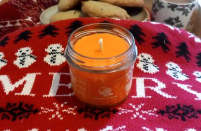 Orange aux épices de noel - petite bougie